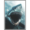 Requins Requin