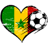 Senegal Herzflagge Fußballdesign used