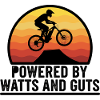 Sunset E-MTB Ebike Jump Power