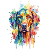 Regenbogen-Wasserfarben Hund