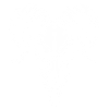 Skull with Horns Ram Skull