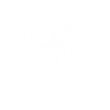 Skull with Horns Ram Skull