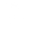 Skull with Horns Ram Skull