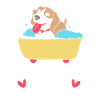 Dog groomer