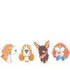 Dog groomer
