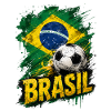 Brasilien Flagge