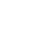 Skull Skull Plant Pot Botany Succulent