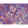 Psychedelic Flowers Neon Print