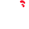 Chicken Vector Graphic Chickens Shirt
