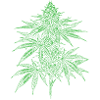 Grünes Cannabisblatt