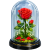 Eternal rose in glass bell jar