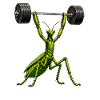 Comic Praying Mantis Bodybuilder Weights Fitness