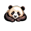 Panda Sayings Panda Funny Panda Gift