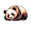 Panda Sayings Panda Funny Panda Gift
