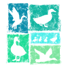 Ducks Perspectives Retro Farm Graphic