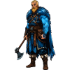 Wikinger Krieger