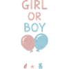 Gender Reveal Mädchen- oder Jungenbabyshower Schwangerschaft