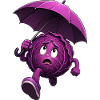Red cabbage with umbrella