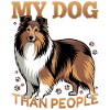 Chien Shetland Sheltie Race
