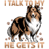Shetland Sheepdog Sheltie Dog Breed