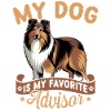 Shetland Sheepdog Sheltie Dog Breed