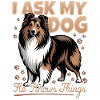 Shetland Sheepdog Sheltie Dog Breed