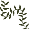 Arching Olive Vines botanical motif