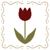 Tulip in Framed Silhouette