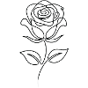 barely a rose