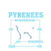 Pyrenean Dog