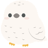 Snowy Owl Cozy Charm