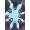 Circle of Pigeons Under Sky