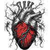 Nightmare Anatomy – Dark Heart