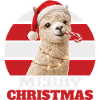 Alpaca with candy cane