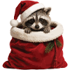Raccoon in a Christmas sack