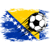 Bosnien Flagge Fußball used