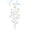 Chamomile Flowers Calm Relaxation