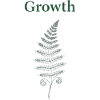 Fern Plant Growth