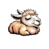 Llama Sayings Llamas Funny Llama Gift