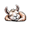 Llama Sayings Llamas Funny Llama Gift