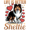 Shetland Sheepdog Sheltie Dog Breed