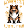 Shetland Sheepdog Sheltie Dog Breed