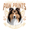 Shetland Sheepdog Sheltie Dog Breed