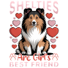 Shetland Sheepdog Sheltie Dog Breed