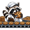 Waschbär Küchenchef Kekse