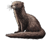 Mink Mink
