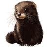 Mink Mink