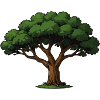 Forest tree illustration