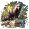 Mink Mink
