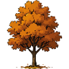 Herbstbaum in Feuerorange
